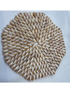 Seashell-Decorated Hexagon Trivet Beige Cream 11" Handcrafted Coastal Table Deco